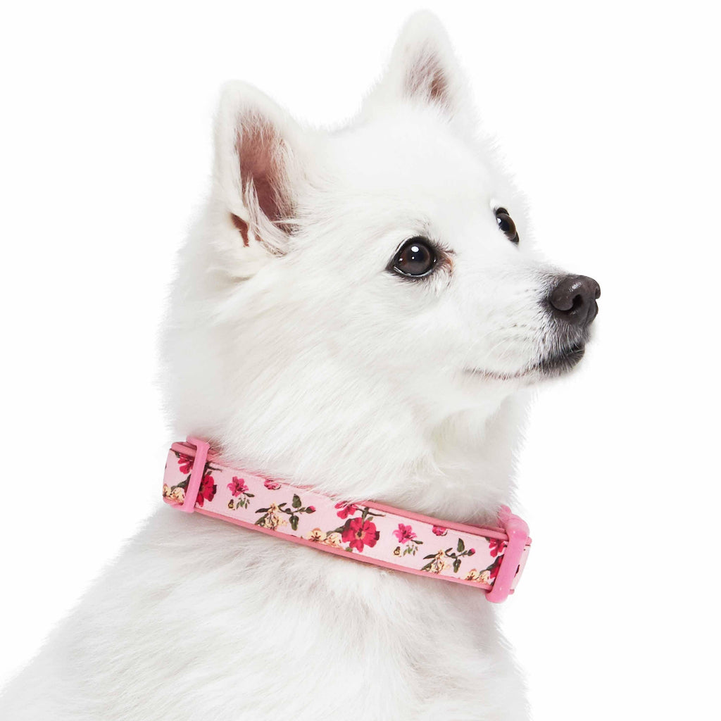 Blueberry Pet Floral Neoprene Padded Dog Collar, Rose Hibiscus