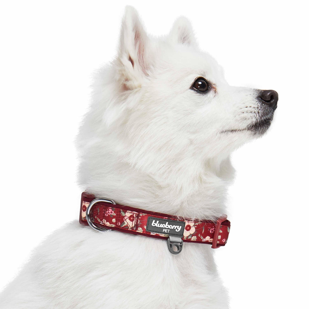 Blueberry Pet Floral Neoprene Padded Dog Collar, Rose Hibiscus