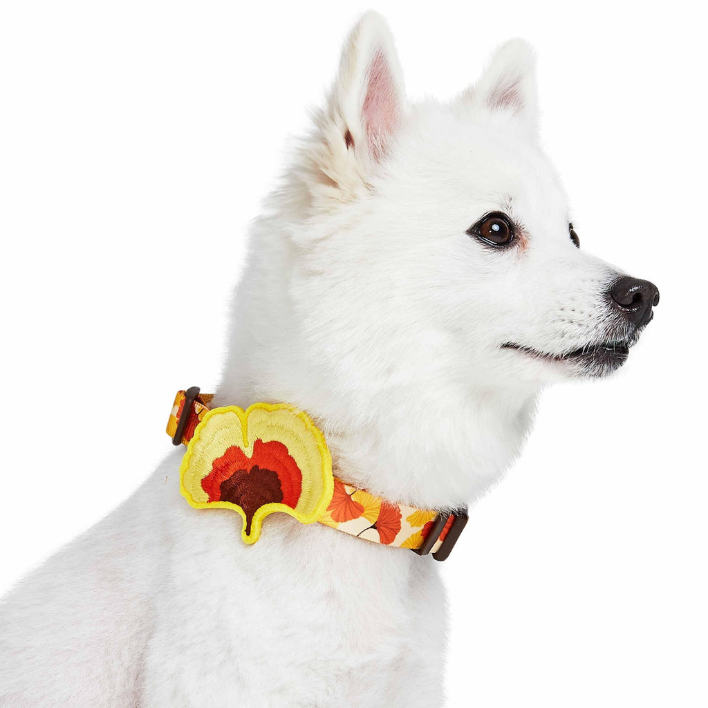 Thanksgiving store dog collar