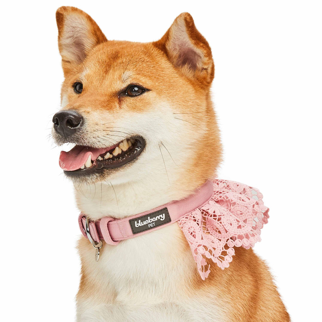 Pink Dog Collar Girl Dog Collar Floral Dog Collar Cute 