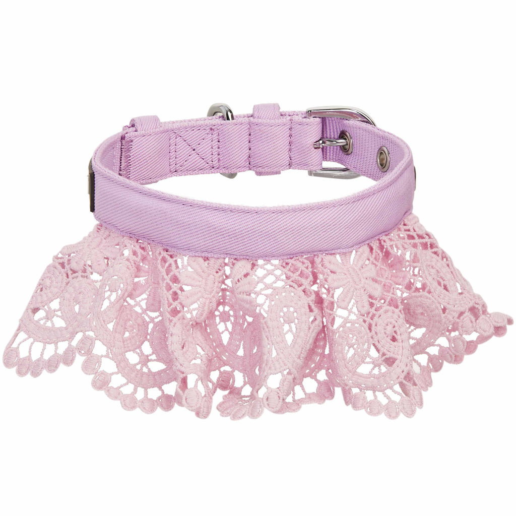 Dog collars for girl puppies hotsell