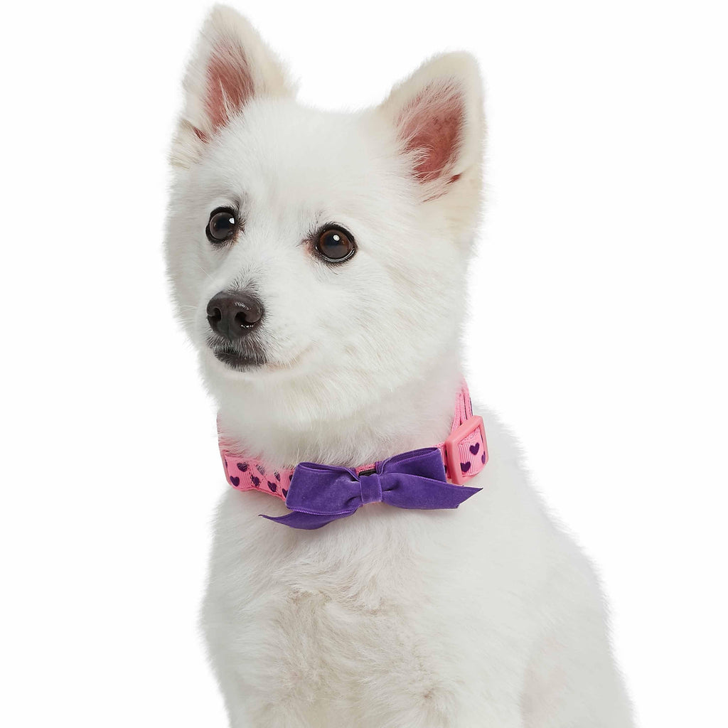 Velvet Step in Harness for Toy Dogs, Puppies or Cats