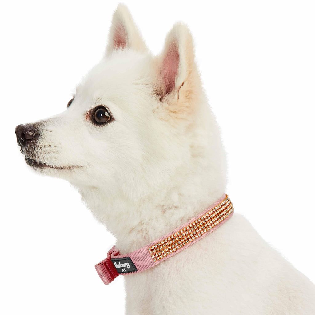 Pink Spiked Dog Collar, for Small Dog Girls & Cat,Bling Rhinestone Dog  Collar