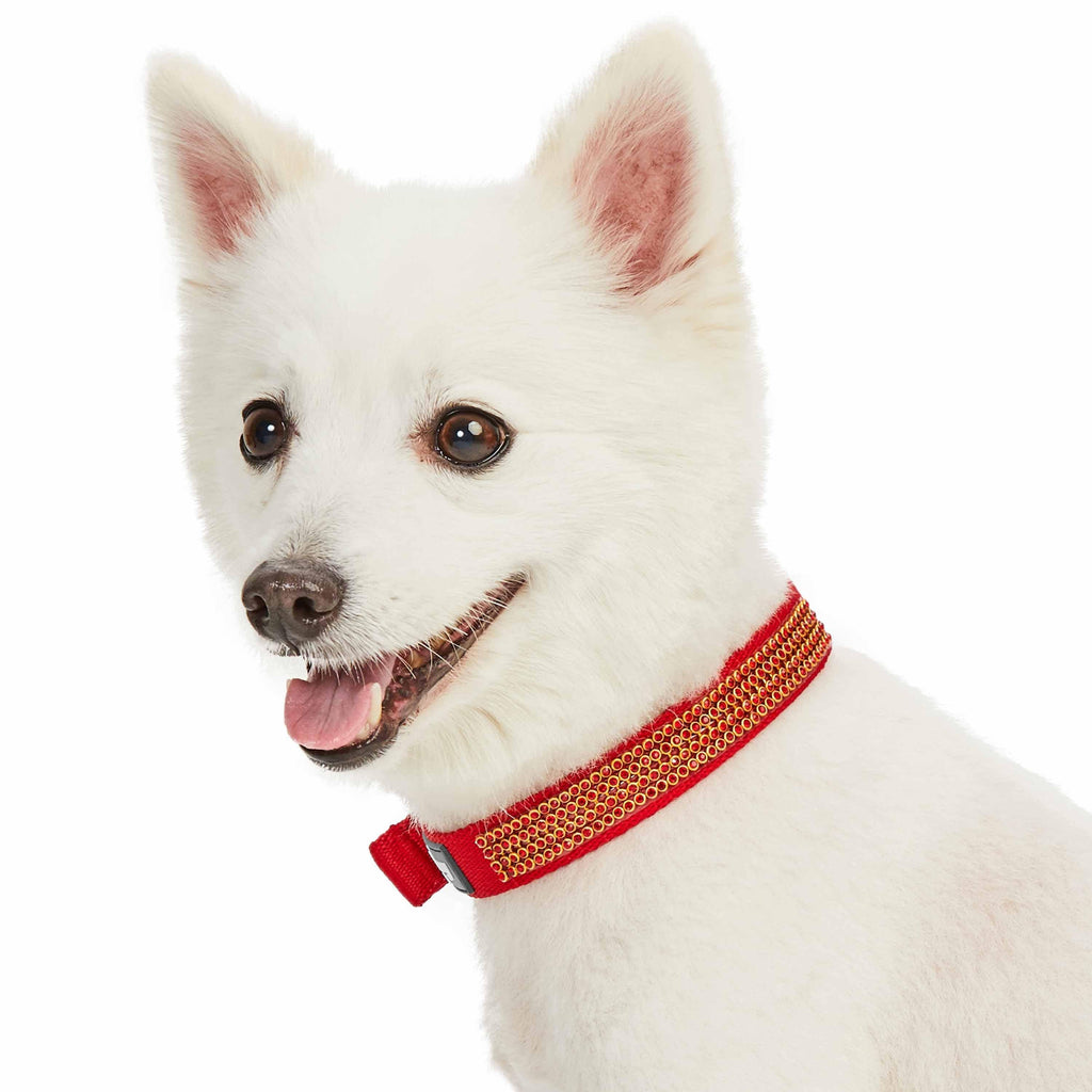 15 Top Preppy Dog Collars - Best Designer Collars for Fancy Dogs & Puppies