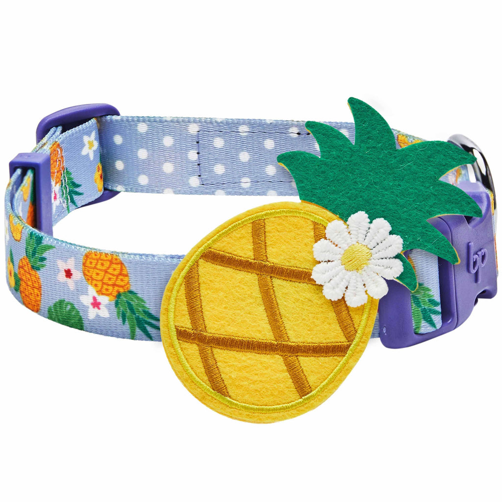 Blueberry Pet Zesty Fruit Dog Collar