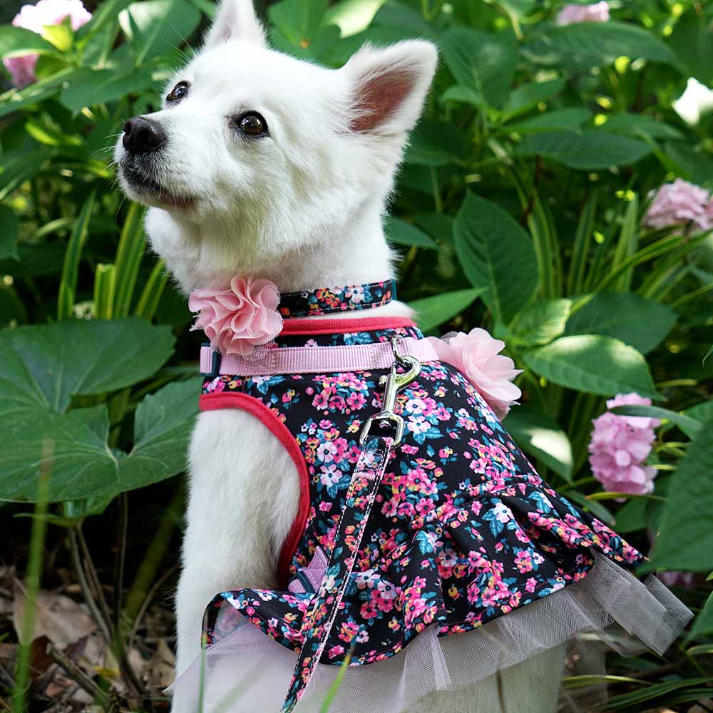 Pink Roses Dog Harness - Small Pet Harness, Harness for Pets, Pet Wedding Attire, Dogs Fashion, Pet Flower Girl, Pet newest Flower Girl, Harness