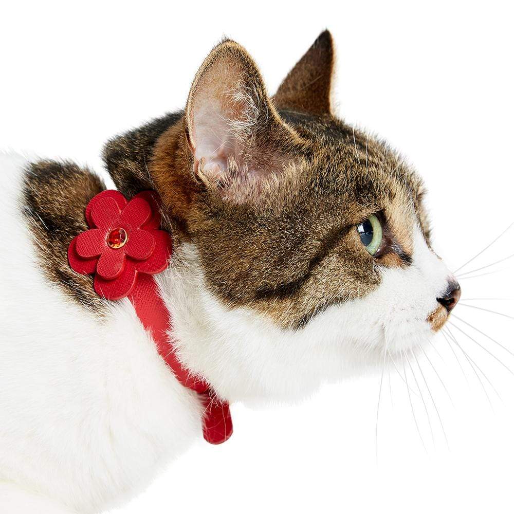 Pet Supplies : Necoichi Ninja Cat Collar (Red) 