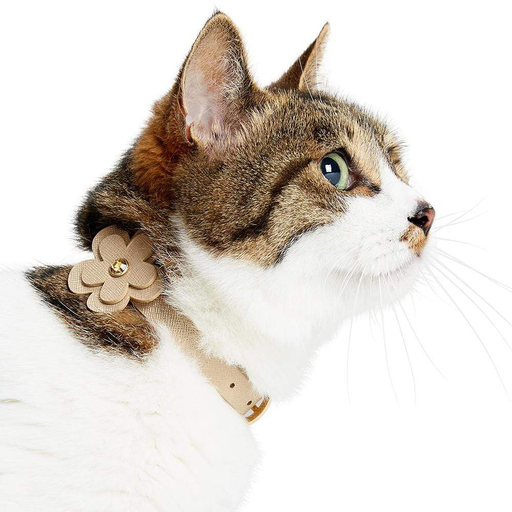 Leather cat collar outlet with bell