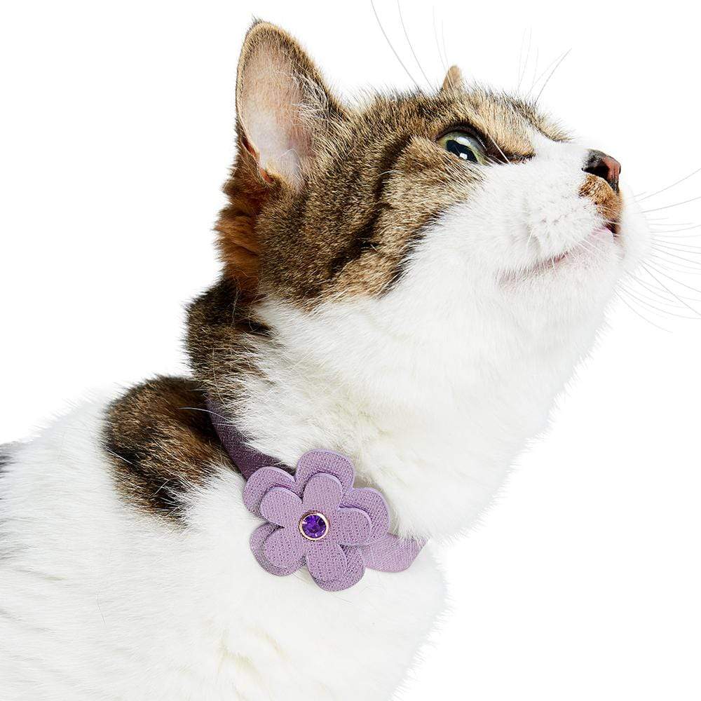 Blueberry Pet PU Leather Cat Collar with Bell and Flower