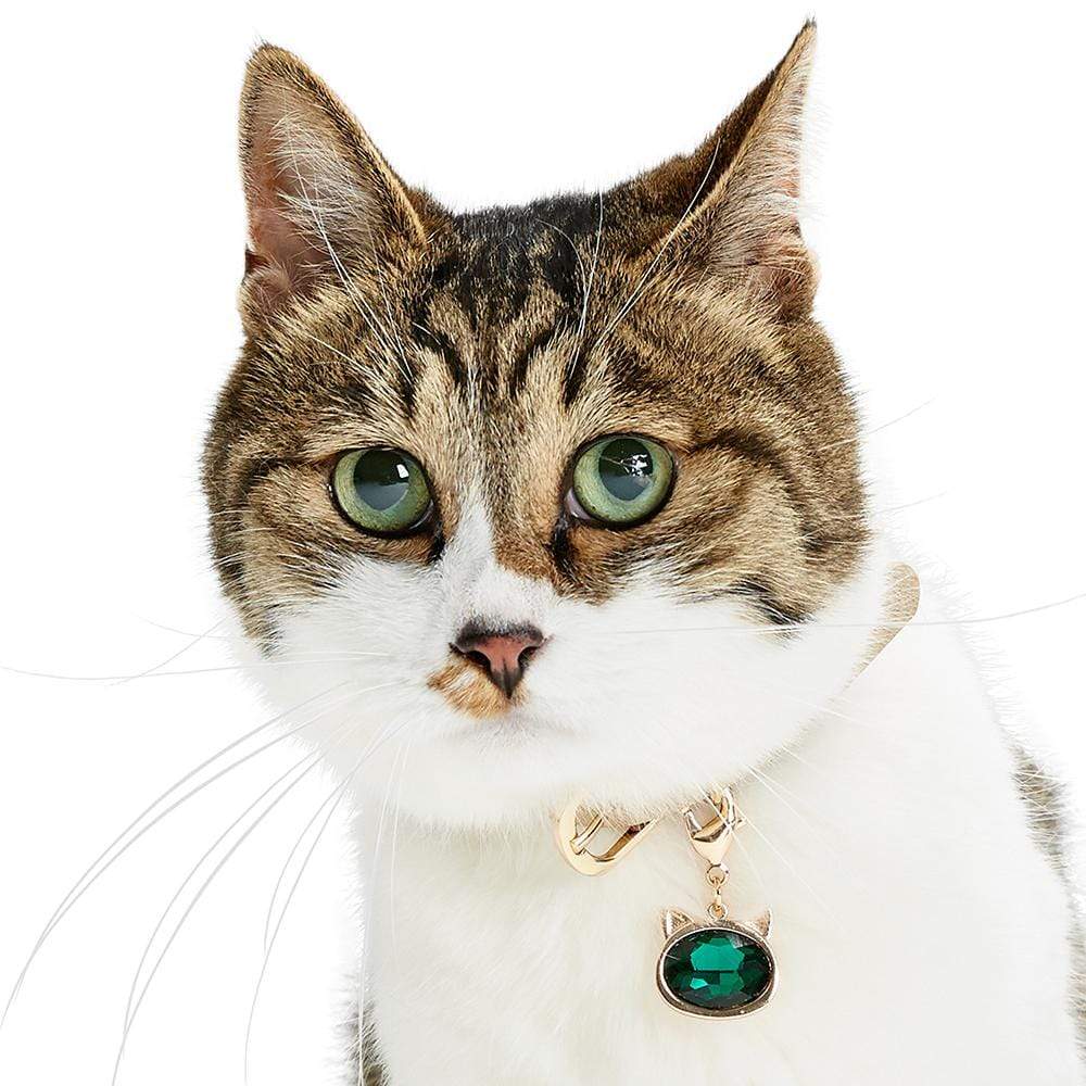 Cat collar orders accessories