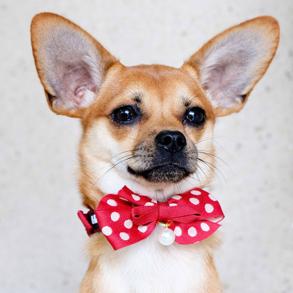 Babole Pet Babole Dog Collar With Bow Tie Cotton Love Pink Dog Collar Girl  Dog Collar Adjustable Cute Dog Collar With Safety Metal Buckle A