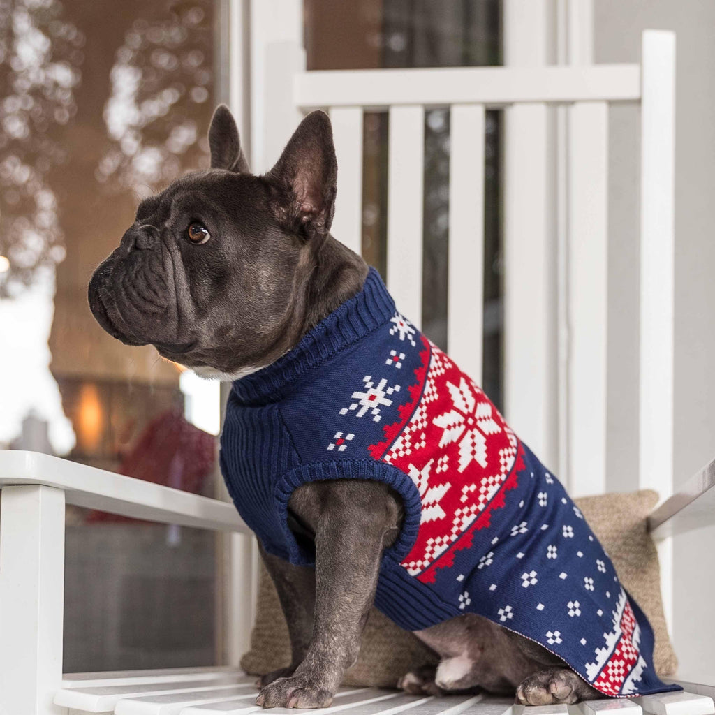 Christmas vacation dog sweater sale