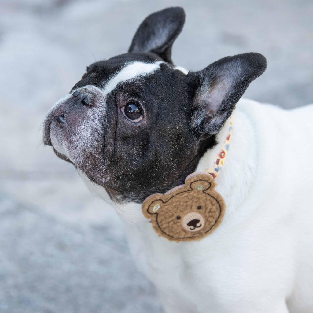 Buy Luxury Dog Collars, Glamorous Dog Collar