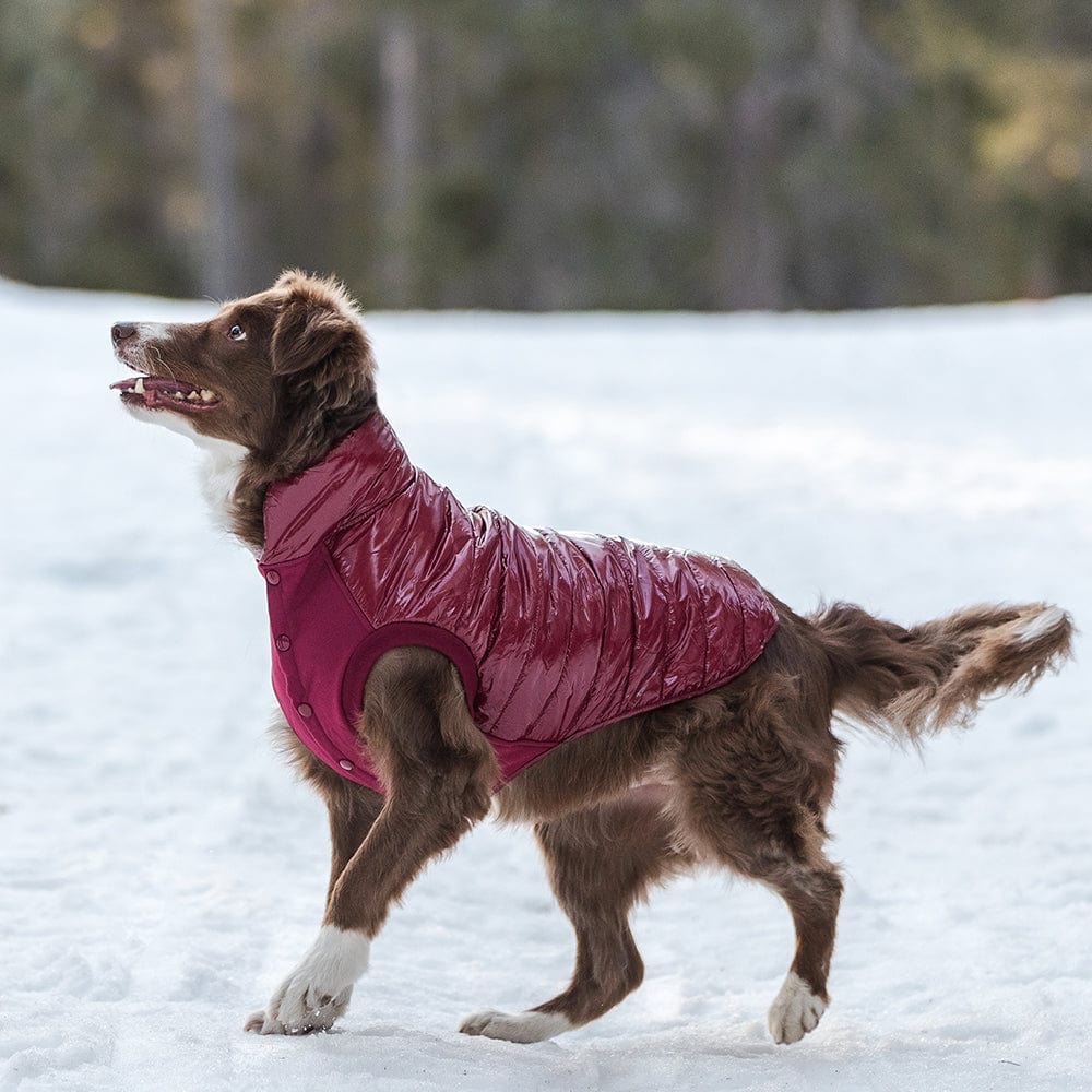 Winter Dog Puffer Jacket Windproof Warm Quilted Jacket Coat for