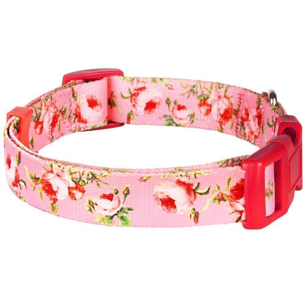 Pink Roses on Pink Floral Dog Collar