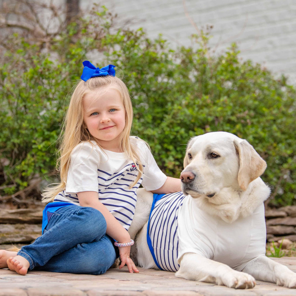 Pink and Blue Anchors Collar - Beach & Dog Co.