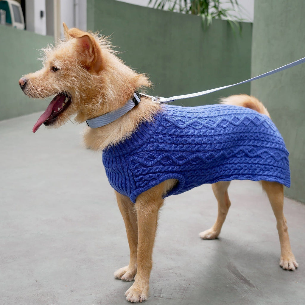 Blueberry Pet Wool Blend Cable Knit Dog Sweater